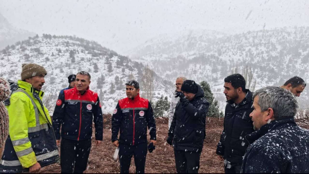 Konya’da ahır çöktü! Çok sayıda hayvan telef oldu 3